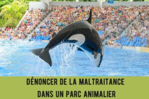 maltraitance zoo parc animalier