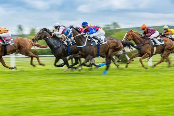 chevaux de course maltraités