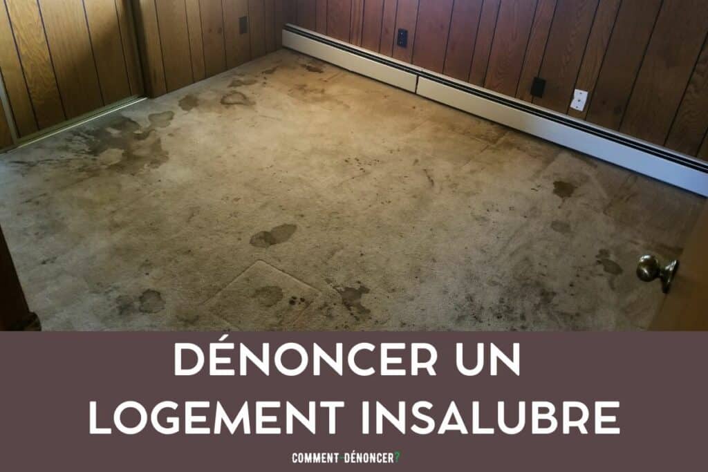 dénoncer un logement insalubre