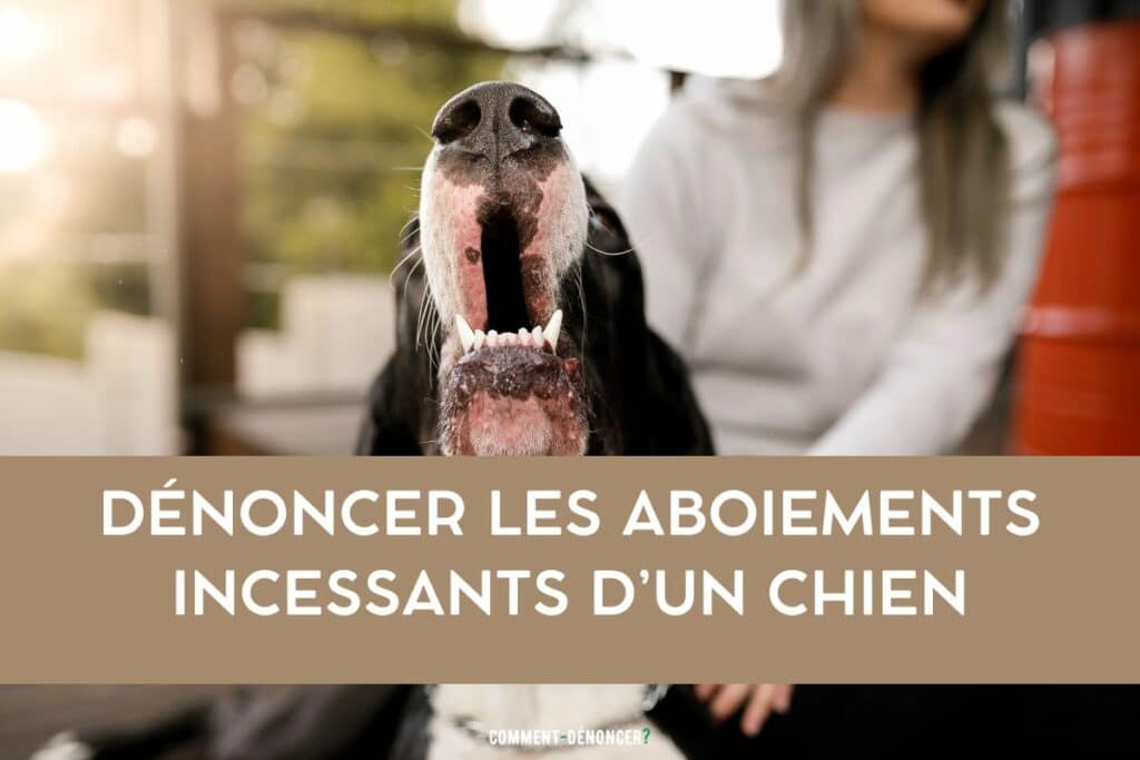 aboiements chien