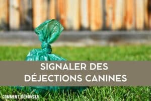 signaler des déjections canines