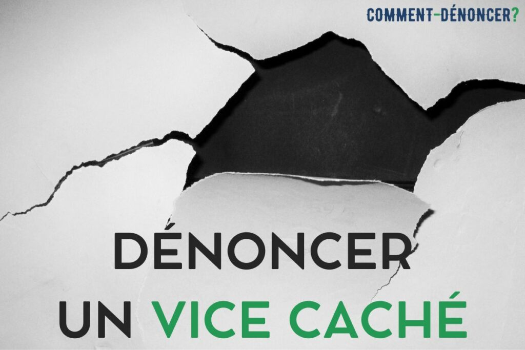 dénoncer un vice caché